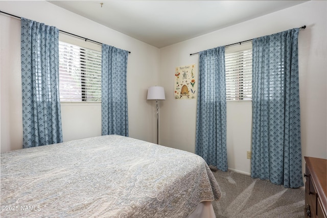 bedroom with carpet flooring