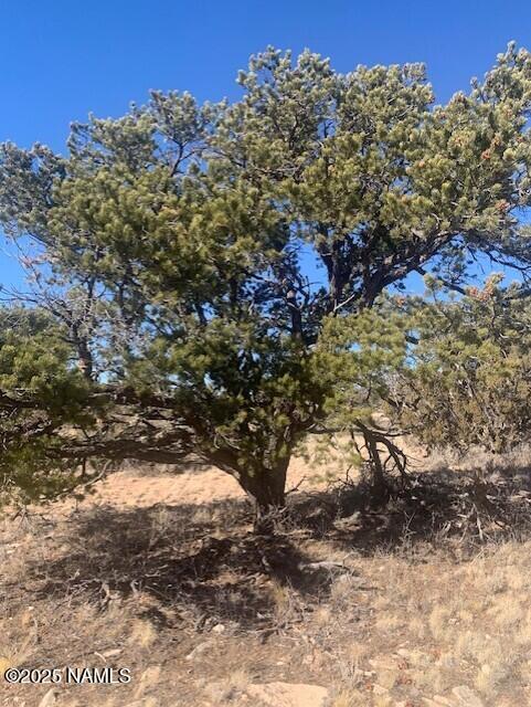 10563 W Bright Sky Trl, Williams, AZ 86046 - photo 1