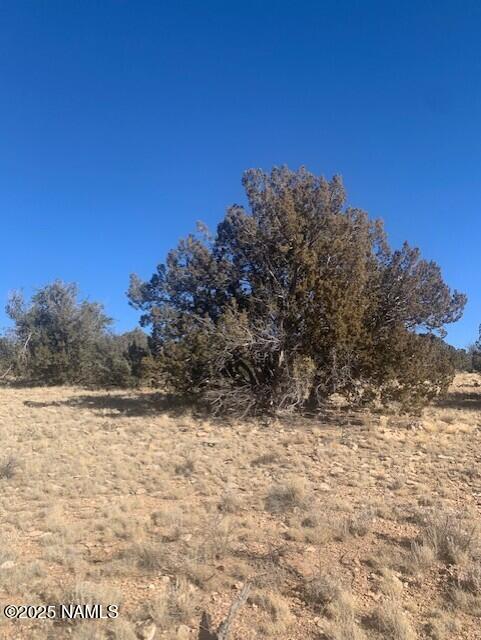 10563 W Bright Sky Trl, Williams, AZ 86046 - photo 18