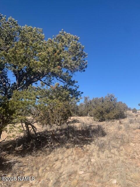 10563 W Bright Sky Trl, Williams, AZ 86046 - photo 16