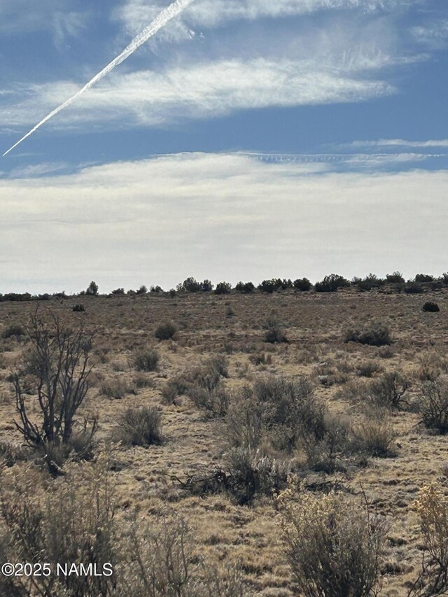 10563 W Bright Sky Trl, Williams, AZ 86046 - photo 10