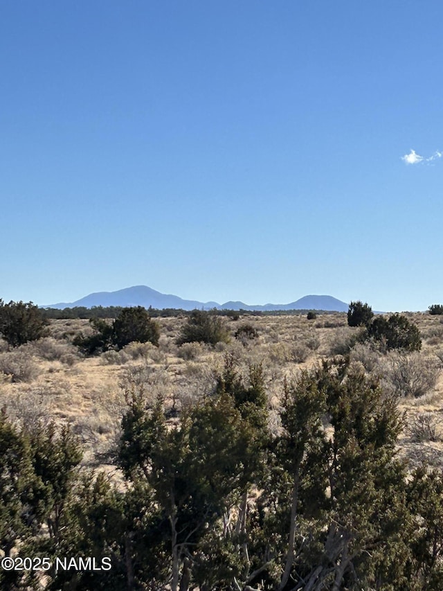 10563 W Bright Sky Trl, Williams, AZ 86046 - photo 4