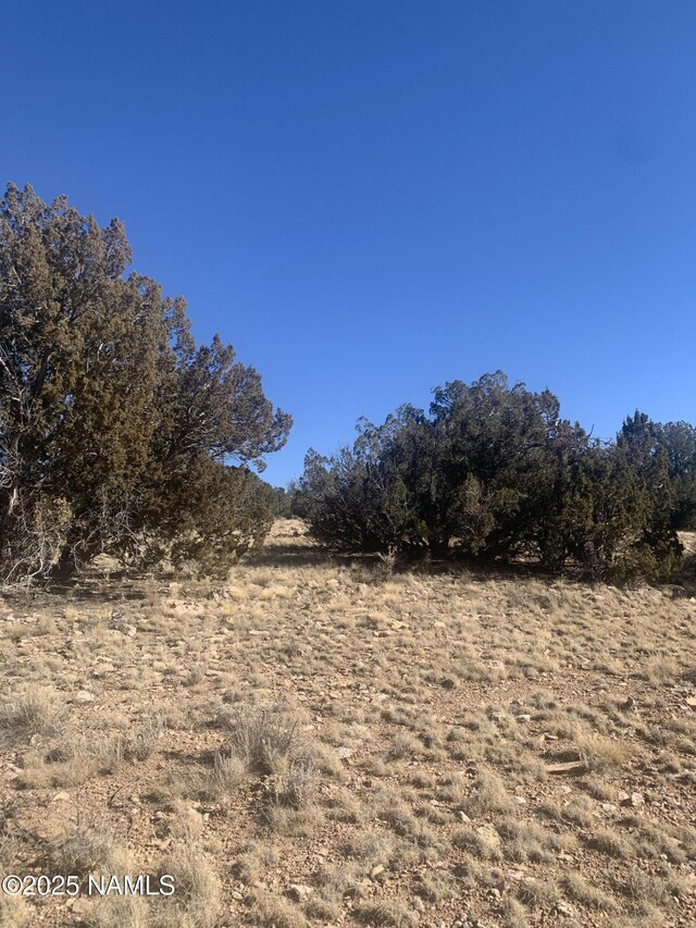 10563 W Bright Sky Trl, Williams, AZ 86046 - photo 9