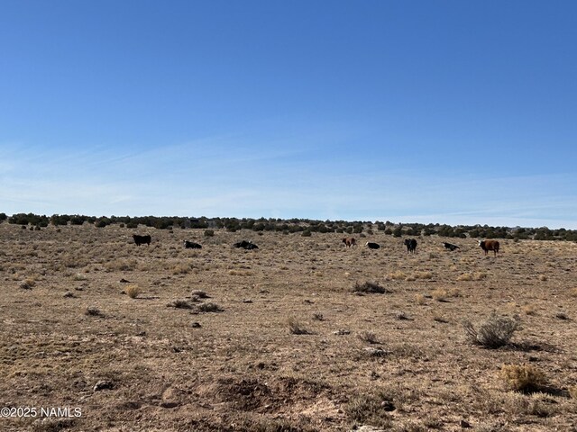 10563 W Bright Sky Trl, Williams, AZ 86046 - photo 2