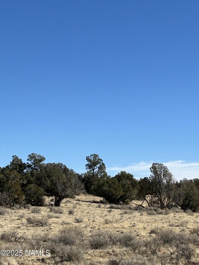 10563 W Bright Sky Trl, Williams, AZ 86046 - photo 11