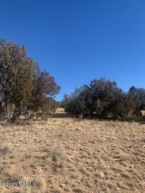 10563 W Bright Sky Trl, Williams, AZ 86046 - photo 17
