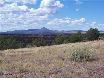 996 W Couchmans Trl Unit 204, Ash Fork AZ, 86320 land for sale