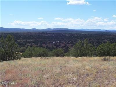 Listing photo 2 for 996 W Couchmans Trl Unit 204, Ash Fork AZ 86320