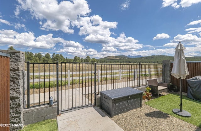 12296 Curtis Ct, Bellemont, AZ 86015 - view of patio with a gate and a mountain view
