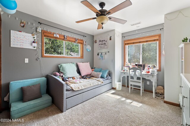 3586 N Wayman St, Flagstaff, AZ 86004 - photo 40