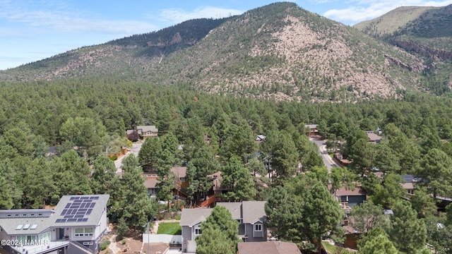 3586 N Wayman St, Flagstaff, AZ 86004 - photo 5