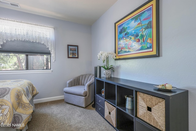 875 E Reindeer Dr, Munds Park, AZ 86017 - photo 26