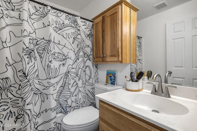 bathroom with toilet and vanity