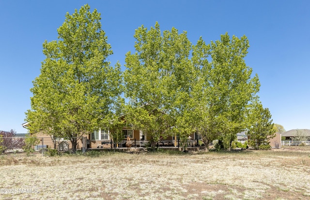 11267 N Lilac Ln, Flagstaff, AZ 86004 - view of yard