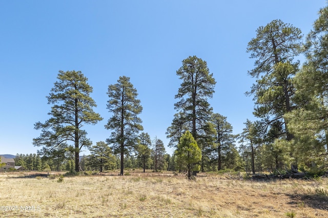11267 N Lilac Ln, Flagstaff, AZ 86004 - view of nature