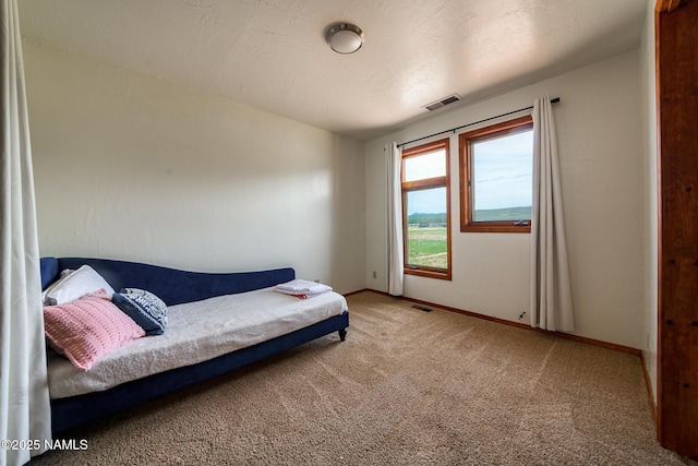 6600 W Suzette Ln, Flagstaff, AZ 86001 - photo 26