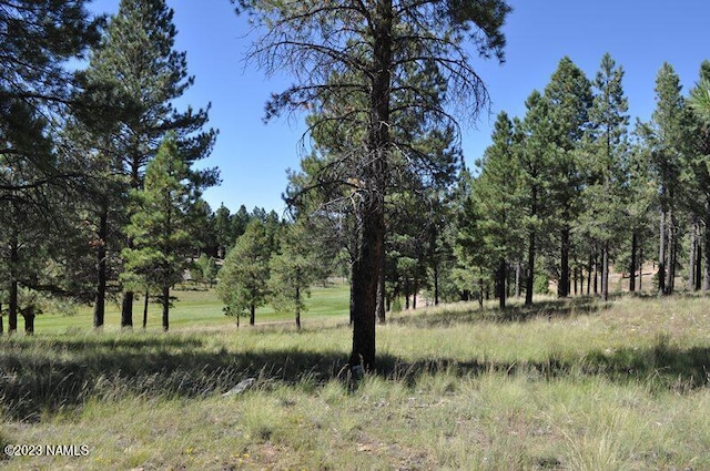 2900 S Solitaires Canyon Dr Unit 345, Flagstaff AZ, 86005 land for sale