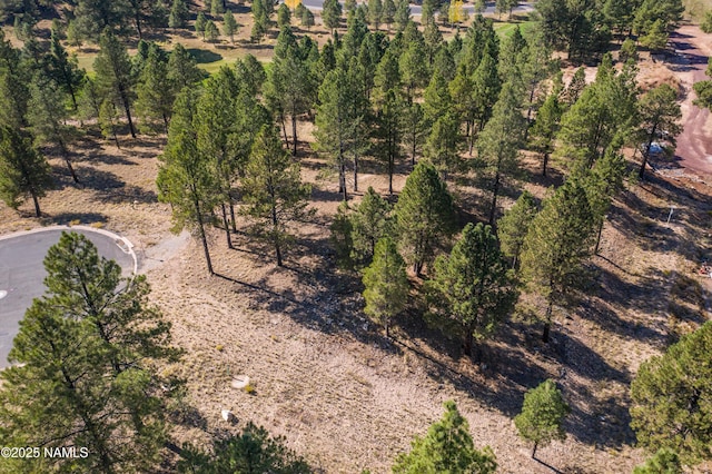 Listing photo 3 for 2900 S Solitaires Canyon Dr Unit 345, Flagstaff AZ 86005