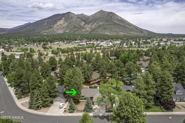 2590 N Fox Run Dr, Flagstaff, AZ 86004 - photo 19