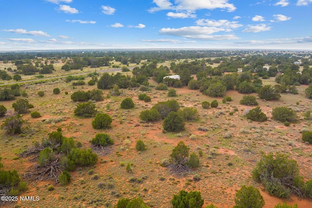 4675 E Simmons Ln N, Williams, AZ 86046 - photo 8