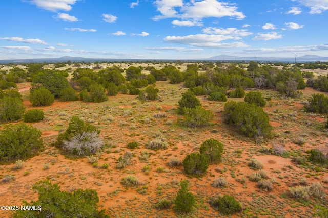 4675 E Simmons Ln N, Williams, AZ 86046 - photo 3