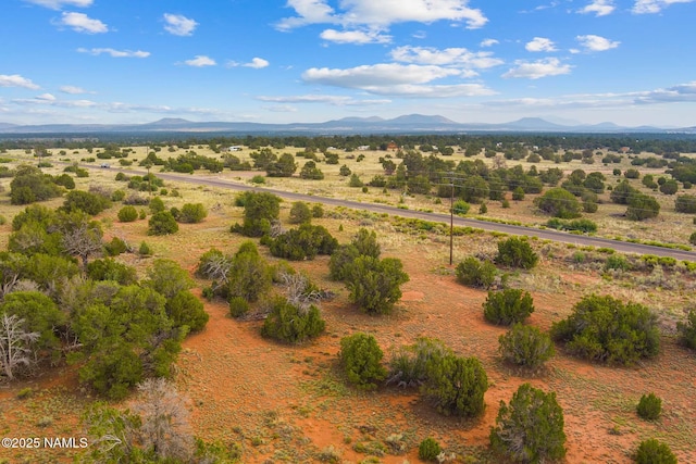 4675 E Simmons Ln N, Williams, AZ 86046 - photo 1