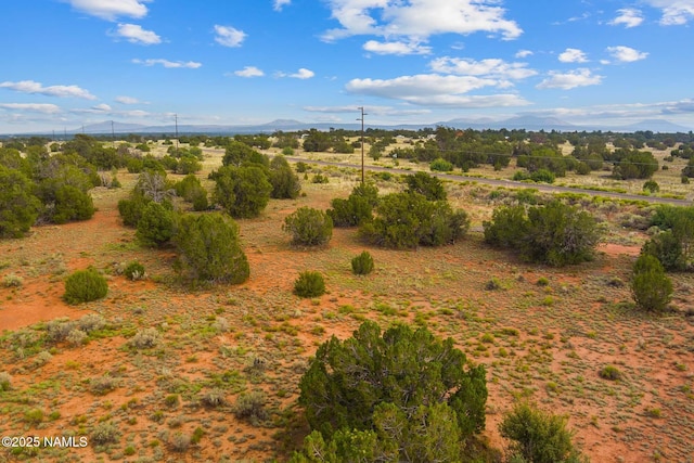 4675 E Simmons Ln N, Williams, AZ 86046 - photo 4
