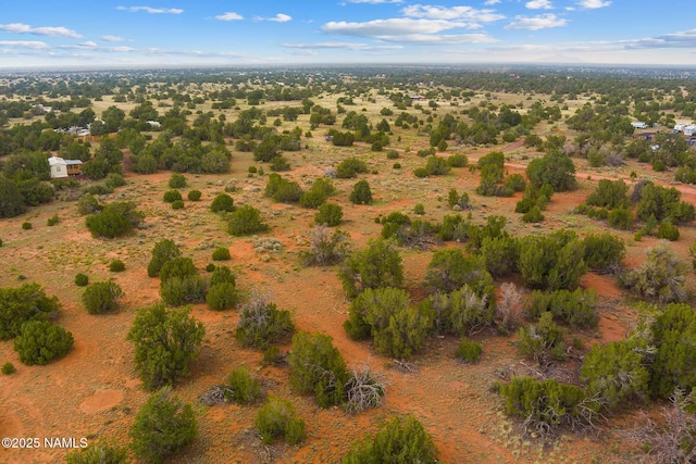 4675 E Simmons Ln N, Williams, AZ 86046 - photo 12