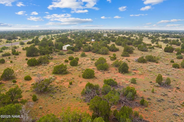 4675 E Simmons Ln N, Williams, AZ 86046 - photo 9