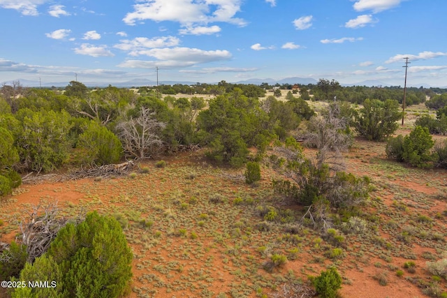 4675 E Simmons Ln N, Williams, AZ 86046 - photo 17