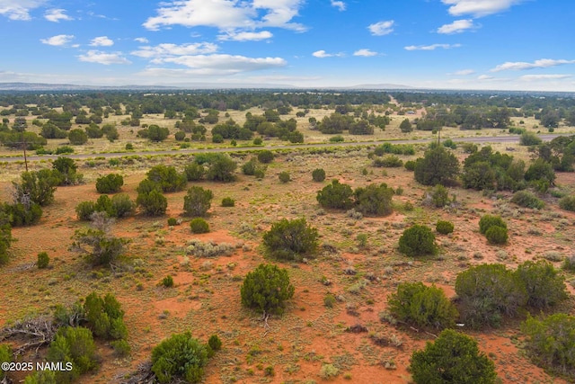 4675 E Simmons Ln N, Williams, AZ 86046 - photo 7