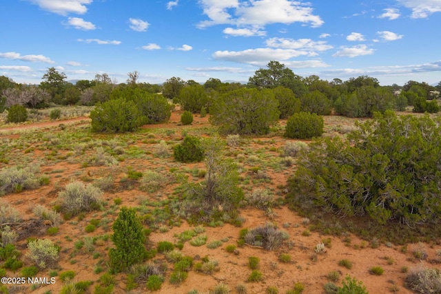 4675 E Simmons Ln N, Williams, AZ 86046 - photo 16