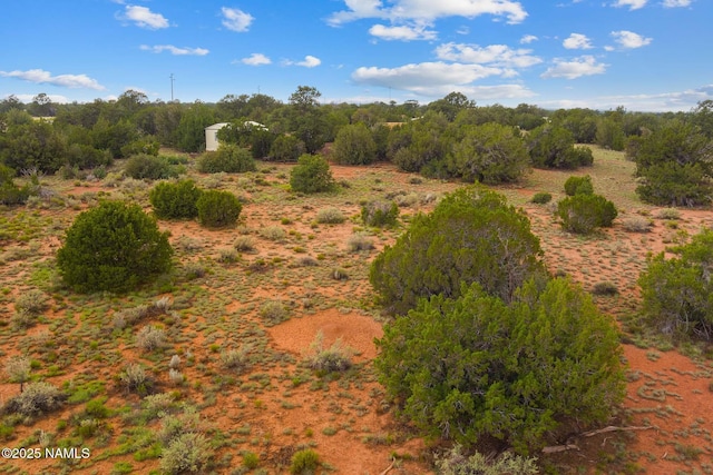 4675 E Simmons Ln N, Williams, AZ 86046 - photo 14
