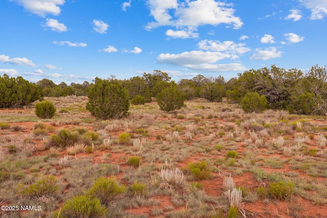 4675 E Simmons Ln N, Williams, AZ 86046 - photo 20