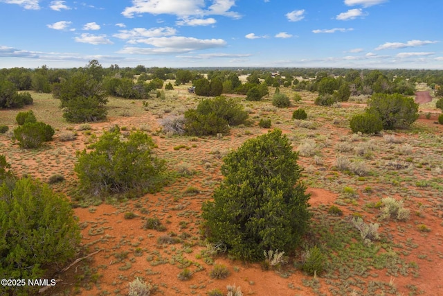 4675 E Simmons Ln N, Williams, AZ 86046 - photo 13
