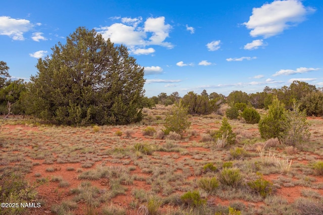 4675 E Simmons Ln N, Williams, AZ 86046 - photo 19