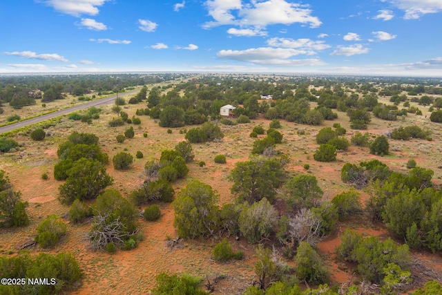 4675 E Simmons Ln N, Williams, AZ 86046 - photo 10