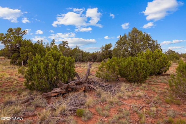 4675 E Simmons Ln N, Williams, AZ 86046 - photo 21