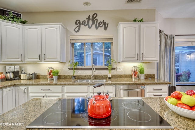 kitchen featuring sink, stainless steel dishwasher, white cabinetry, and light stone counters