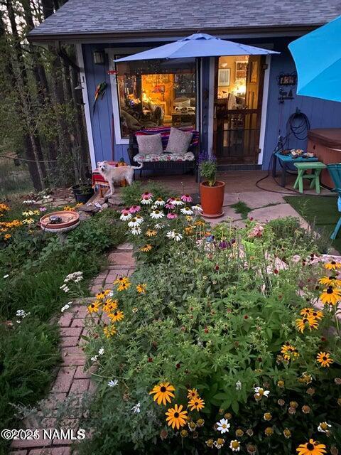 view of yard with a patio