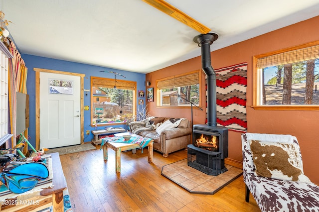 living area with a wood stove and wood-type flooring