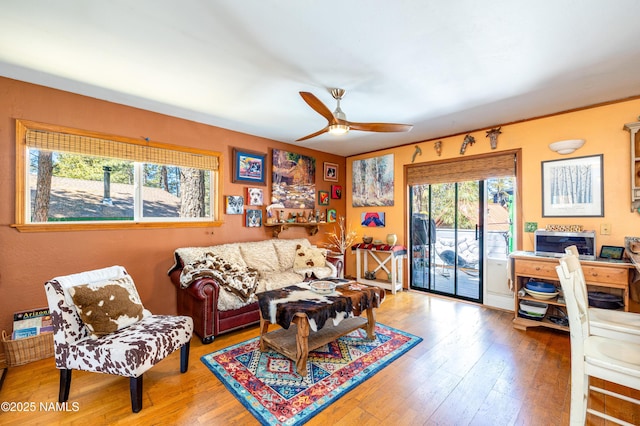 living area with ceiling fan and hardwood / wood-style flooring