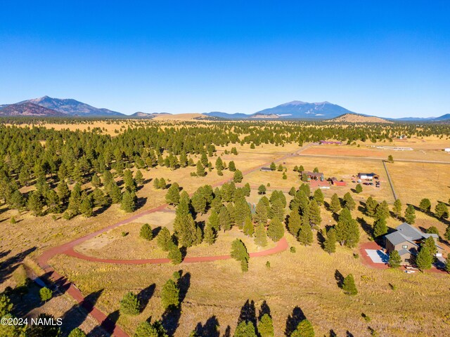 aerial view featuring a mountain view