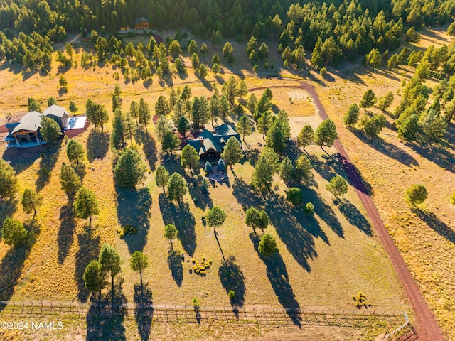 bird's eye view with a rural view