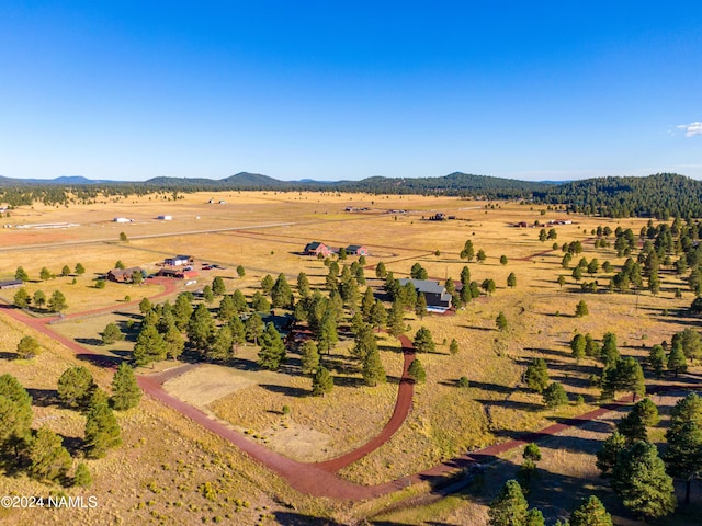 aerial view with a mountain view and a rural view