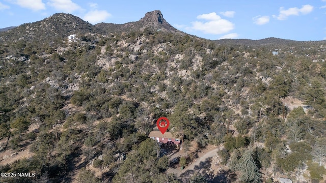view of mountain feature