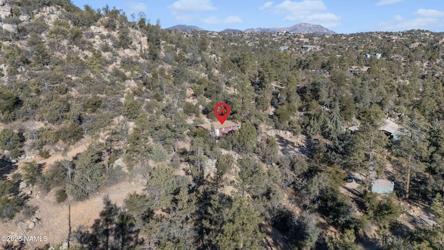 drone / aerial view with a mountain view