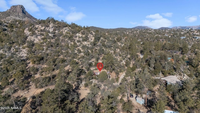 drone / aerial view featuring a mountain view