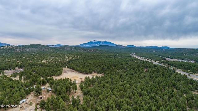 251 N E Park Rd, Parks, AZ 86018 - photo 43