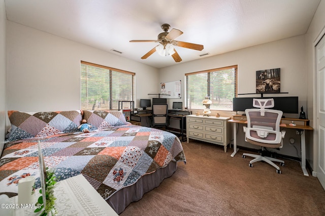 251 N E Park Rd, Parks, AZ 86018 - photo 18